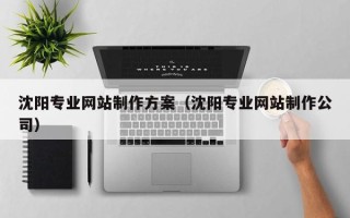 德州沈阳专业网站制作方案（沈阳专业网站制作公司）